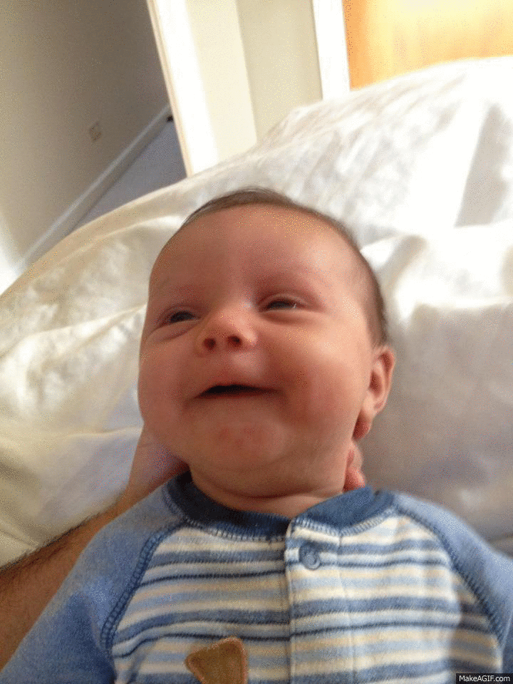 Laughing Baby Animated Gif Images & Pictures Becuo