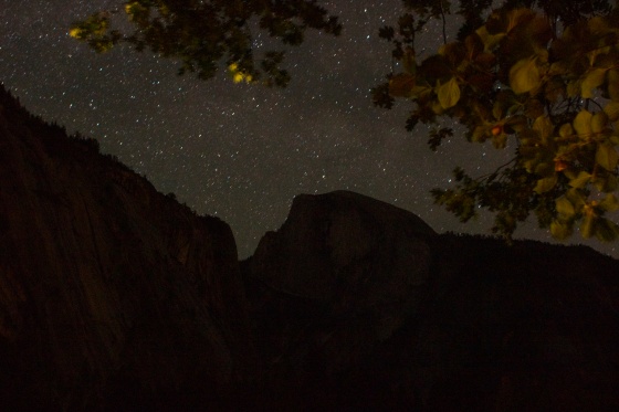 Half Dome, Leaves, and Stars